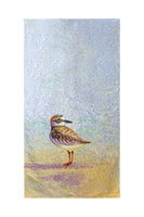 Wilson's Plover Beach Towel