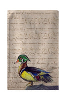 Male Wood Duck Beach Towel