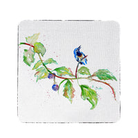 Bird & Blackberries Coaster Set of 4