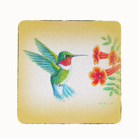 Dick's Hummingbird Coaster Set of 4