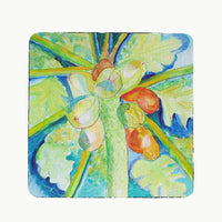 Big Cocoa Nuts Coaster Set of 4