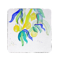 Lemon Tree Coaster Set of 4