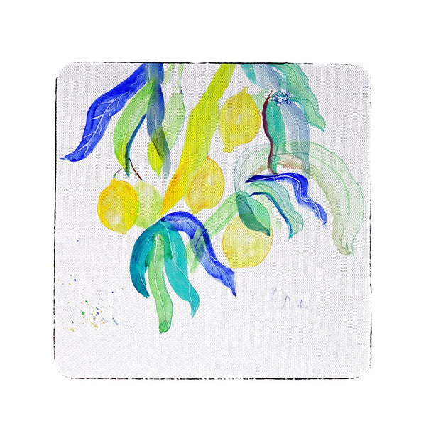 Lemon Tree Coaster Set of 4