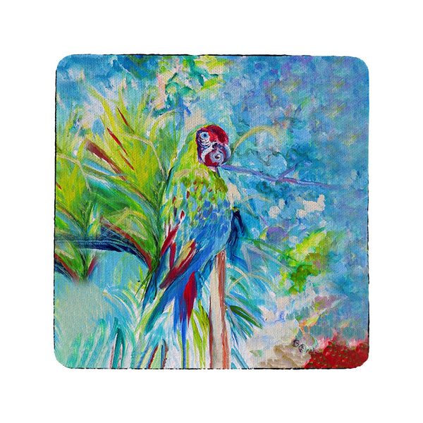 Green Parrot II Coaster Set of 4