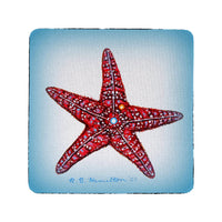 Dick's Starfish Coaster Set of 4