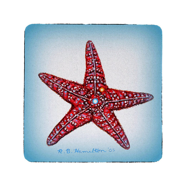 Dick's Starfish Coaster Set of 4