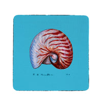 Nautilus Coaster Set of 4