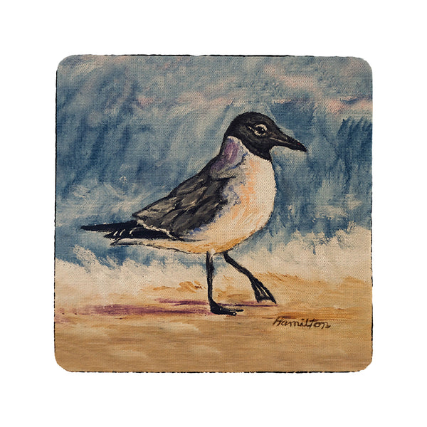 Laughing Gull Coaster Set of 4