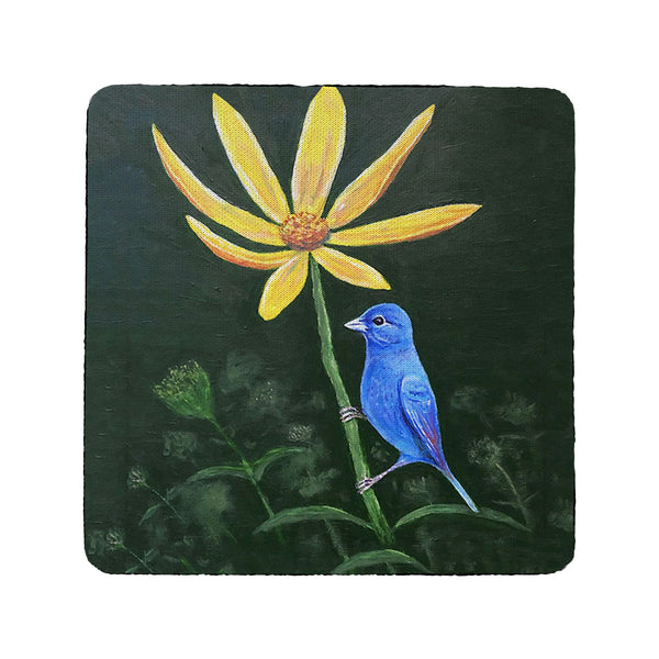 Indigo Bunting Coaster Set of 4