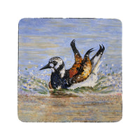 Beach Bird Bath Coaster Set of 4