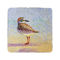Wilson's Plover Coaster Set of 4