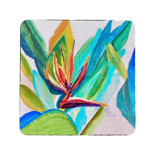 Bird of Paradise Coaster Set of 4