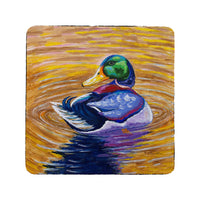 Duck Looking Coaster Set of 4