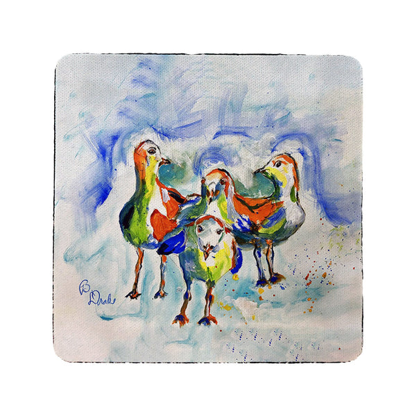 Sea Gull Guys Coaster Set of 4