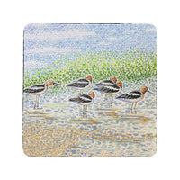 Summer Avocets Coaster Set of 4