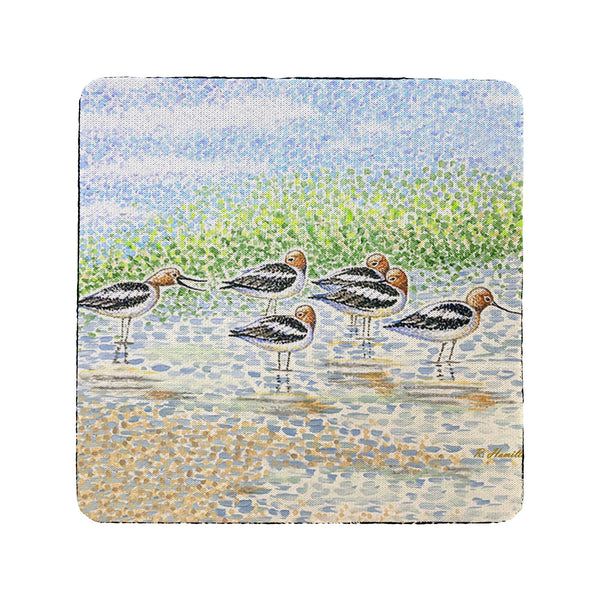 Summer Avocets Coaster Set of 4