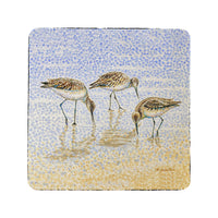Willet Sandpipers Feeding Coaster Set of 4