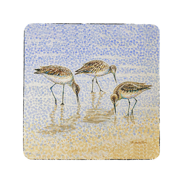 Willet Sandpipers Feeding Coaster Set of 4
