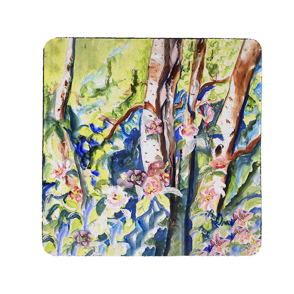 Birch Tree Wood Coaster Set of 4