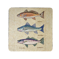 Creek Fish Coaster Set of 4