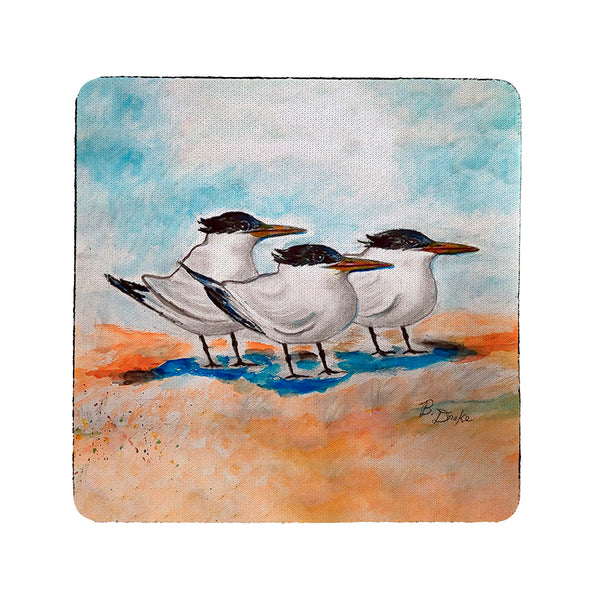Three Terns Coaster Set of 4