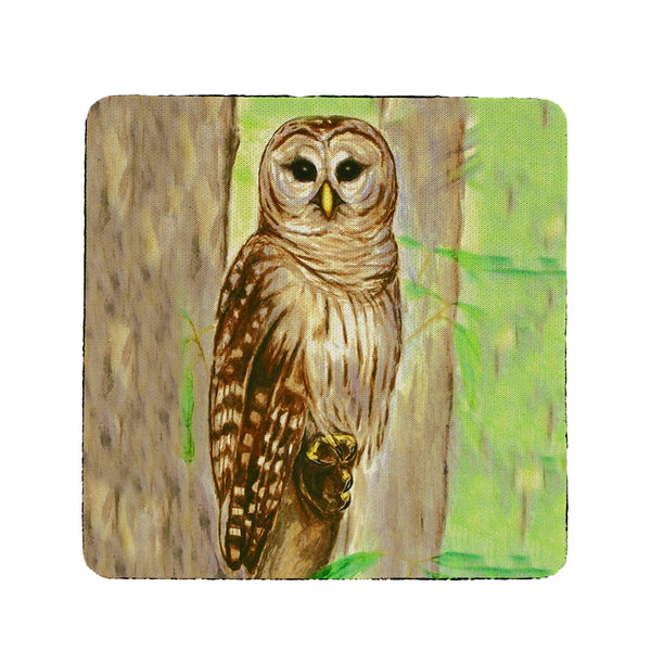Owl Coaster Set of 4