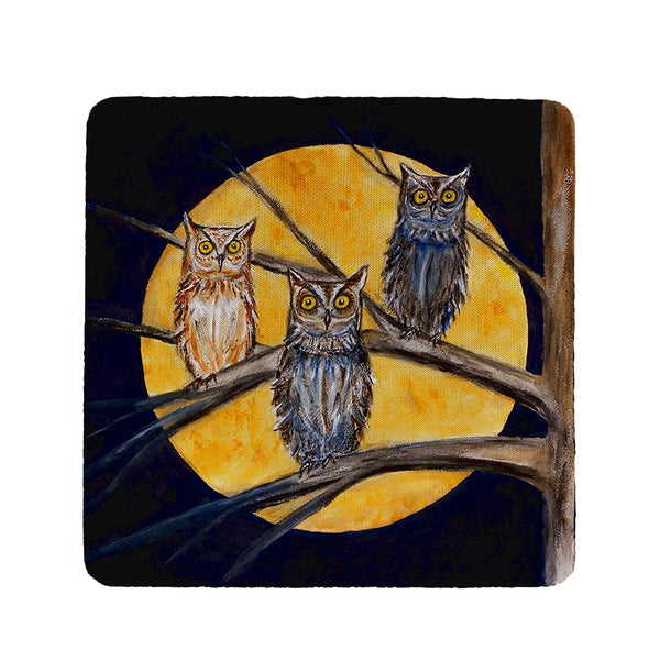 Night Owls Coaster Set of 4