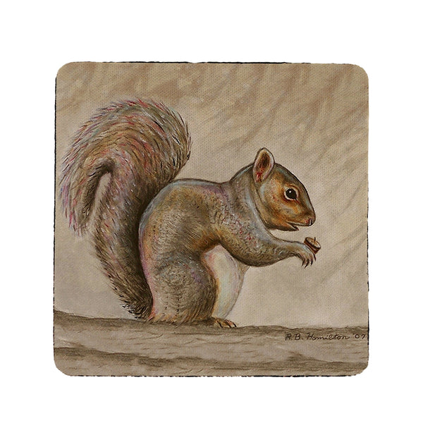 Squirrel Coaster Set of 4