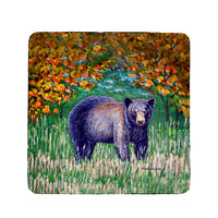 Black Bear Coaster Set of 4