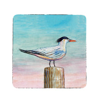 Royal Tern Coaster Set of 4