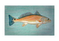 Red Drum Door Mat