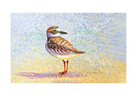 Wilson's Plover Door Mat
