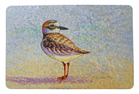 Wilson's Plover Door Mat