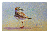 Wilson's Plover Door Mat