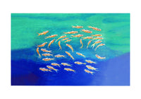 Schooling Fish Door Mat