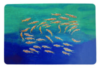 Schooling Fish Door Mat