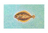 Pointillist Flounder Door Mat
