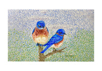 Two Birds Door Mat