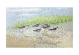 Summer Avocets Door Mat