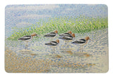 Summer Avocets Door Mat