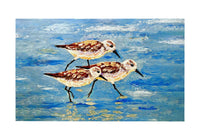 Sandpiper Race Door Mat