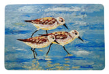 Sandpiper Race Door Mat