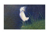 Windy Egret Door Mat