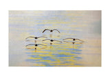 Cruising Pelicans Door Mat