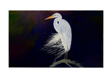 Egret Feathers Door Mat