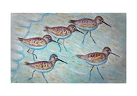 Sandpipers Door Mat