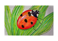 Lady Bug Door Mat