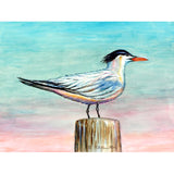 Royal Tern Door Mat