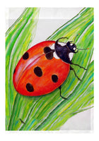 Ladybug Flag