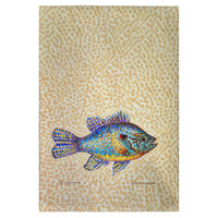 Pumpkinseed Fish Guest Towel